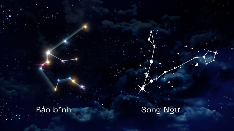 Tổng Quan Cung Bảo Bình