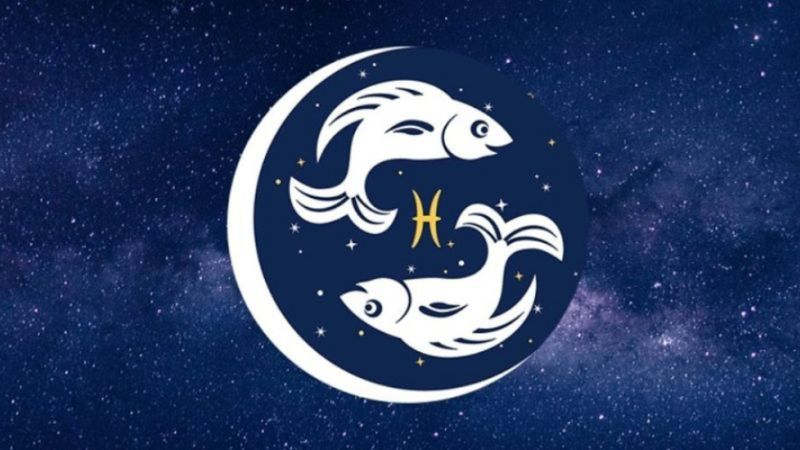 Tổng Quan Cung Song Ngư Tại Giaima.info