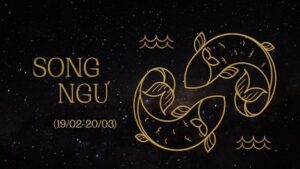 So Sánh Song Ngư Tháng 2 Và Tháng 3: Cùng Giaima.info Giải Đáp Thắc Mắc